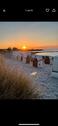 Foto - Apartment mit Ostseeblick direkt am Meer