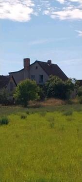 Foto - Einfamilienhaus zum Kaufen in Allstedt