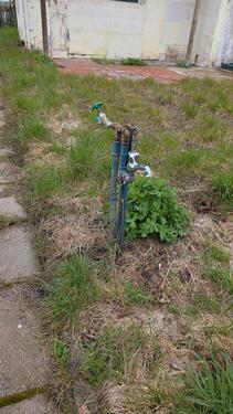 Foto - Grundst&uuml;ck in Mühlhausen (Thüringen)