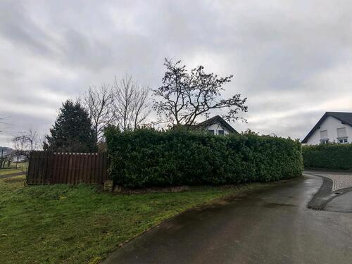 Foto - Einfamilienhaus in Osann-Monzel