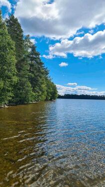 Foto - andere in Berlin zur Miete