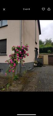 Foto - 2 ZKB Wohnung - 550,00&nbsp;EUR Kaltmiete, ca.&nbsp; 65,00&nbsp;m&sup2;