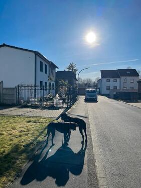 Foto - 7 Zimmer Einfamilienhaus zum Kaufen in Dortmund