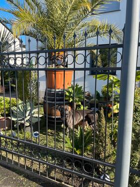 Foto - 7 Zimmer Einfamilienhaus in Dortmund