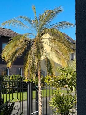 Foto - Einfamilienhaus in Dortmund zum Kaufen