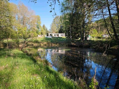 Foto - 3 Zimmer Bungalow zum Kaufen in Coswig (Anhalt)