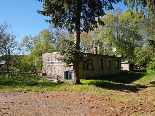 Foto - 3 Zimmer Bungalow in Coswig (Anhalt)