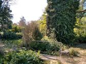 Foto - Einfamilienhaus zum Kaufen in Bad Schmiedeberg