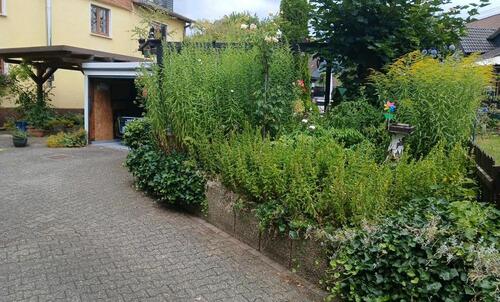 Foto - Haushälfte in Littfeld zu verkaufen
