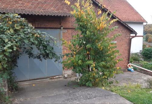 Foto - Einfamilienhaus in Emmerthal zum Kaufen