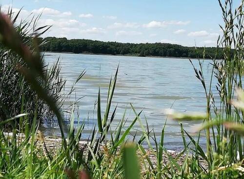 Foto - Grundstück in Eldetal zur Miete