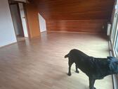 Foto - 2 Zimmer Dachgeschoßwohnung zur Miete in Langelsheim