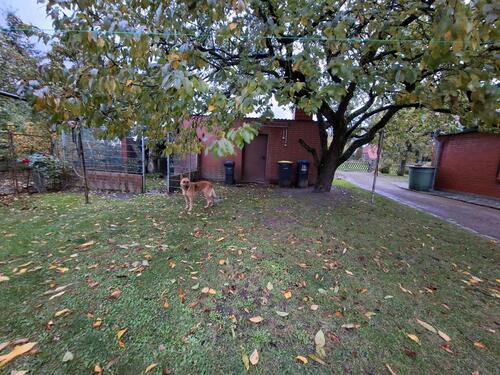 Foto - Einfamilienhaus in Waren (Müritz)