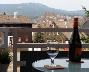 Braunlage: 1-Zimmer-Apartment mit Wurmbergblick
