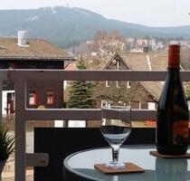 Braunlage: 1-Zimmer-Apartment mit Wurmbergblick