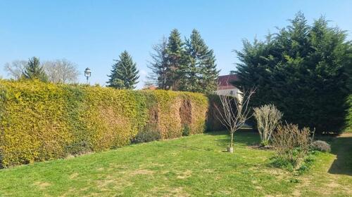 Foto - Einfamilienhaus in Tonna zum Kaufen