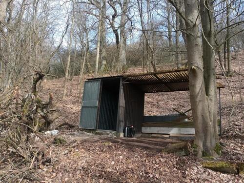 Foto - Wald mit Hütte zu verpachten - 65,00&nbsp;EUR Kaltmiete, ca.&nbsp; 0,00&nbsp;m&sup2;