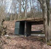 Wald mit Hütte zu verpachten - 65,00&nbsp;EUR Kaltmiete, ca.&nbsp; 0,00&nbsp;m&sup2; in Gesees (PLZ: 95494)