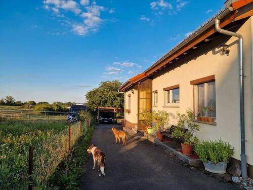 Foto - Wohnhaus, Bauplatz und Offenstall zur Pferdehaltung am Haus, 19ar