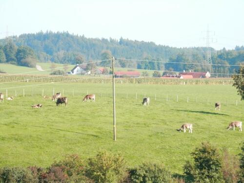 Foto - 