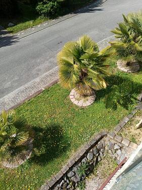 Foto - 7 Zimmer Einfamilienhaus in Herxheim bei Landau/Pfalz