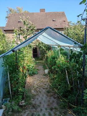 Foto - Mehrfamilienhaus, Wohnhaus in Doberlug-Kirchhain