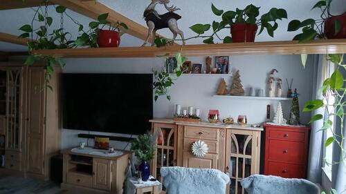 Foto - 10 Zimmer Einfamilienhaus zum Kaufen in Hohenleuben