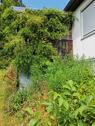 Foto - Einfamilienhaus zur Miete in Bad Wurzach