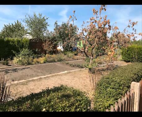 Foto - Garten Pachten in Merseburg Süd