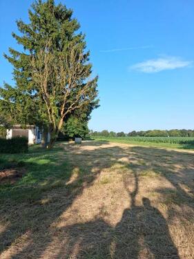 Foto - 8 Zimmer Bauernhaus, Landhaus zum Kaufen in Gransebieth