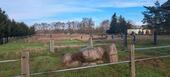 Foto - Einfamilienhaus in Kloster Lehnin zum Kaufen