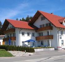 Sonnige 2 Zimmer DG Wohnung im Aitrachtal - Blumberg