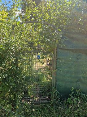 Foto - Gartengrundstück zu verpachten - 50,00&nbsp;EUR Kaltmiete, ca.&nbsp; 0,00&nbsp;m&sup2;