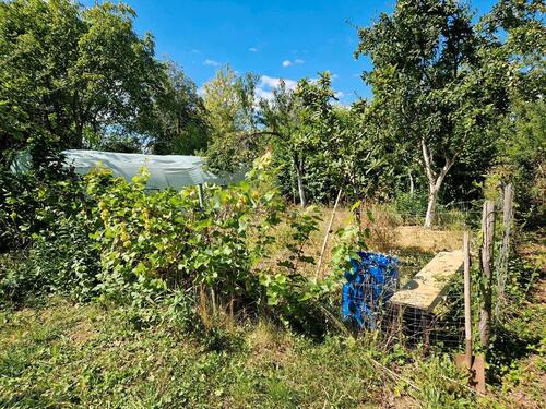 Foto - Grundst&uuml;ck zur Miete in Offenbach an der Queich