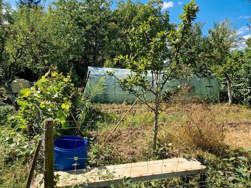 Foto - Grundst&uuml;ck in Offenbach an der Queich