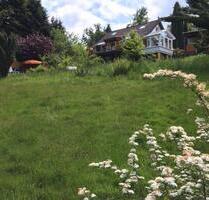 Haus im Grünen zu vermieten - 1.200,00&nbsp;EUR Kaltmiete, ca.&nbsp; 90,00&nbsp;m&sup2; in Wermelskirchen (PLZ: 42929)