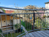 Foto - Einfamilienhaus in Tirschenreuth