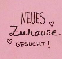 JUNGGEBLIEBENES Paar i.d.Sechzigern su. ruhige 3 ZKB +Garten - Schöffengrund