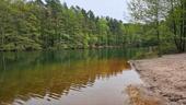 Foto - 5000m² Naturidylle dein Rückzugsort am See- 1h Von Leipzig