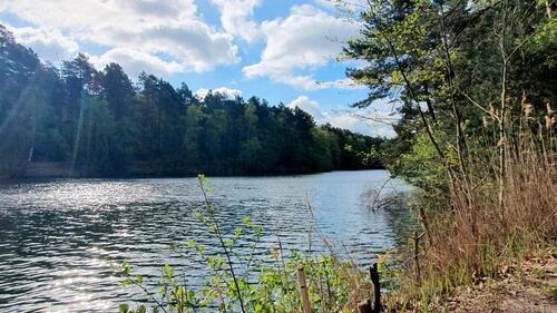 Foto - Grundstück zur Miete in Leipzig