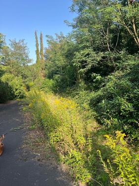 Foto - Einfamilienhaus in Sankt Ingbert zum Kaufen