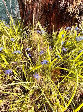 Foto - Grundst&uuml;ck in Leipzig zur Miete