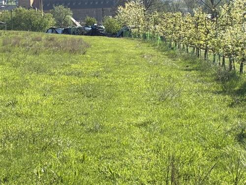 Foto - andere zur Miete in Weißenohe