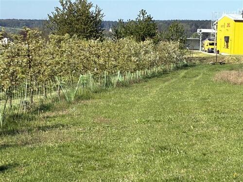 Foto - andere in Weißenohe