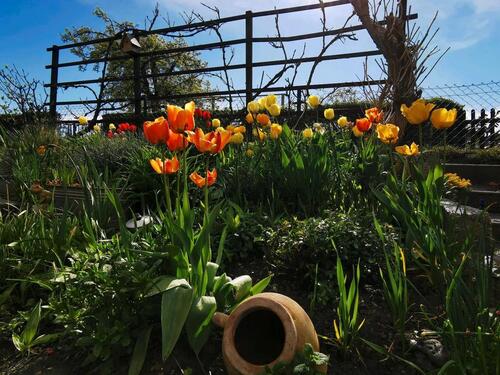 Foto - Grundst&uuml;ck zur Miete in Dresden