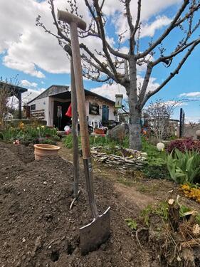 Foto - Grundst&uuml;ck in Dresden zur Miete