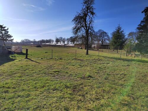 Foto - San. bedürft. EFH mit großem Grundstück in ruhiger Lage