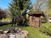 Foto - Etagenwohnung zur Miete in Steinhöfel