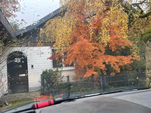 Foto - Bungalow mit Einliegerwohnung in Nienhagen bei Hannover