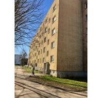2-Raum Erdgeschosswohnung mit Dusche in ruhiger Lage - Schwerin Mueß